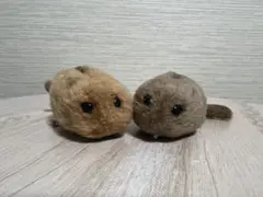 Item thumbnail for item b603425d-cdd1-4888-8ecb-5b5493dd97ba