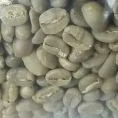 かれん様専用　食べられるコーヒー豆