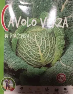 pigumonn様 リクエスト 2点 まとめ商品