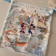 ディズニーリゾート 25周年 ドリーム 巾着