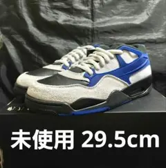 NIKE AIR JORDAN 4 RM FQ7939 29.5cm