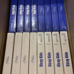 straykids KARMA 通常盤 2形態 新品未開封 16枚 ①