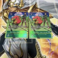 アジリティ・トレーニング　2枚