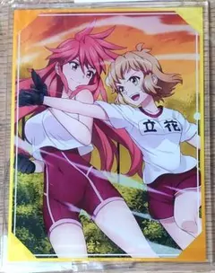 【シンフォギア】 天羽奏 立花響 特訓 アクリルフィギュア 【アクリルスタンド】