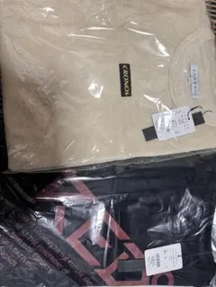 Item thumbnail for item 96524b16-4dc8-4df6-aaa9-0fd027c15783