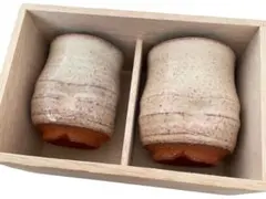 Item thumbnail for item 29420933-336e-4793-8cb2-e32819943273