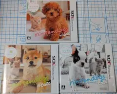 Item thumbnail for item 4f64cb84-437f-4fcd-b0c3-ea0dd3469c72