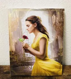 美品 美女と野獣 MovieNEX DVD Blu-ray 2枚組