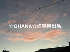 ☆OHANA☆様専用出品