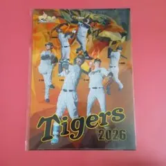 阪神タイガース 2025年優勝記念クリアファイル 非売品【2枚セット(A4