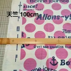 Item thumbnail for item 5a398d9f-94a1-463f-abc8-4d109575fdaf