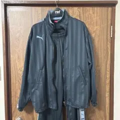 Puma ブルー ストライプ ジャージセット　プージャ