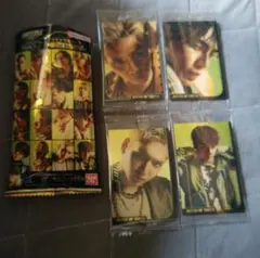 BOT ウェハース トレカ RAMPAGE