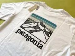 新品タグ付き★ patagonia パタゴニア 半袖Tシャツ　XS