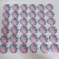 プロセカ 望月穂波 缶バッジ 43c 76点