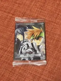 D.Gray-man TCG 神田ユウ&ラビ　未開封