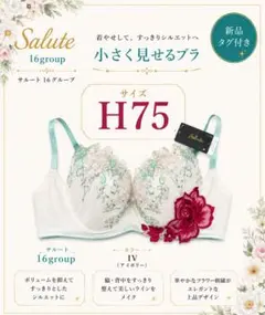 Salute サルート 39Group 店舗限定 ブラジャー F75 新品タグ付 - メルカリ