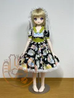 Rosenlied 水曜子限定ドレス RDWL 015 ROSEN LIED Rosenlied 水曜子限定ドレス RDWL 015 ROSENLIED - メルカリ