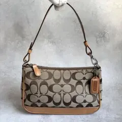 coach アクセサリーポーチ ハンドバッグ シグネチャー y2k