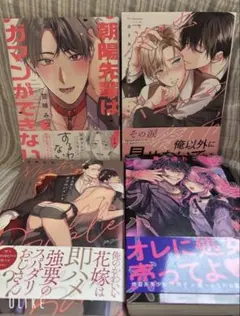 BLコミック4冊セット