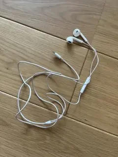 Apple EarPods Lightningコネクタ 本体