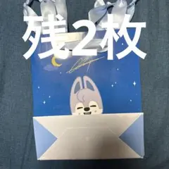 Stray Kids SKZOO Wolf Chan ペーパーバッグ ショッパー