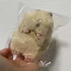 新品タグ付き　はむにぎり きなこ 新品未開封