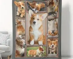 ゆか様 リクエスト 3点 まとめ商品