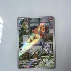 ヒトカゲ AR プロモ スペシャルデッキセットex - メルカリ