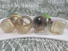 Pigeon 哺乳瓶 4本セット