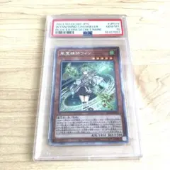 風霊媒師ウィン 25th PSA10 2026年最新】風霊媒師ウィン 25th psaの人気アイテム - メルカリ