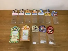 G0406-05★TOKYO Disneyland チケットケース　12点のサムネイル