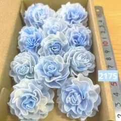 ソラフラワー2175