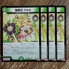 爆翠月アカネ　②