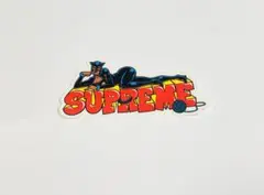 2022FW supreme ステッカー ″キャットウーマン″