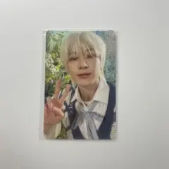 SEVENTEEN ウォヌ トレカ this man アラジン Aladdin