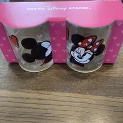 ミッキー、ミニーのタンブラーセットです。