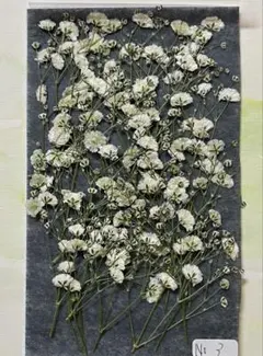 Item thumbnail for item 4cfeeb80-f384-4073-86df-e8c615ac0898