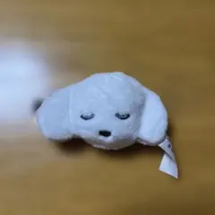 いろんないぬのぬいぐるみクリップ　うとうといぬ