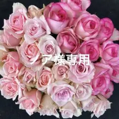 ノア様専用　ラッピング込み