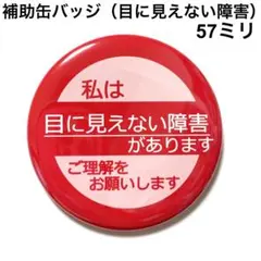 補助缶バッジ【目に見えない障害】57ミリ