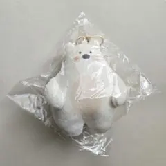 ENHYPEN ソヌ mixsoon ミクスン スンディ キーホルダー