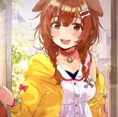 ホロライブ 戌神ころね ゲーマーズ 一番くじ タペストリー 額縁入り