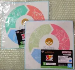 ポケモン 30周年 くじ I賞 ハンドタオル カロス パルデアのサムネイル