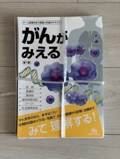 がんがみえる　裁断済み