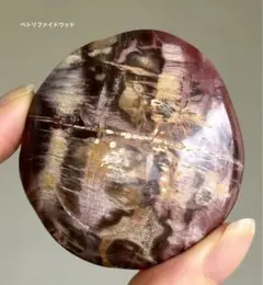 2025年最新】ペトリファイドウッドの人気アイテム - メルカリ