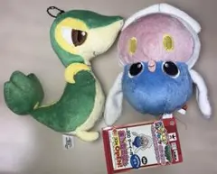 MYポケモンコレクションツタージャ アンコール　マーイーカ　ぬいぐるみ