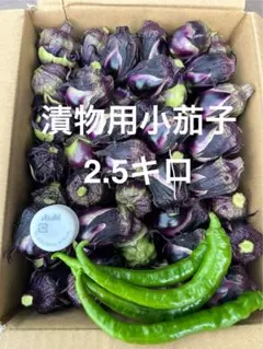 山形県産　漬物用小茄子2.5キロのサムネイル