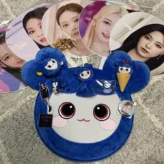 TWICE Tzuyu うちわケース(おまけいっぱいつけます！)
