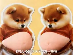 【2匹】お腹ぷにぷにシール 柴犬 おなかぷくぷくシール 3Dシール